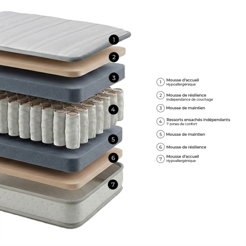 Compo tranches ROYAN